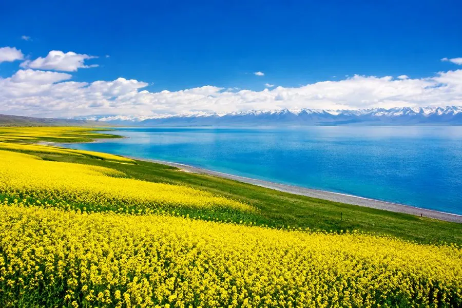 青海湖湛蓝湖水与草原风光